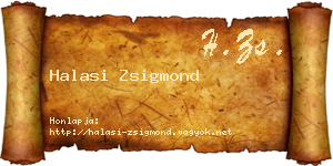 Halasi Zsigmond névjegykártya